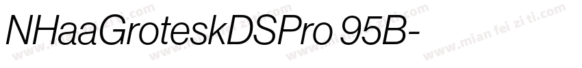 NHaaGroteskDSPro 95B字体转换